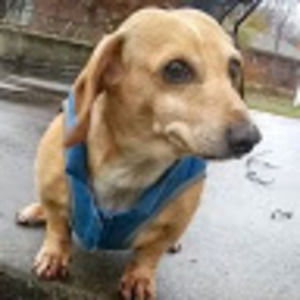 Meet your Posher, Nick